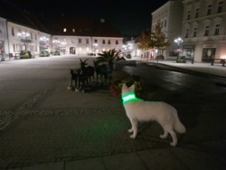 f486f6ec-65a8-4ee5-8882-d5afbc76b4c6