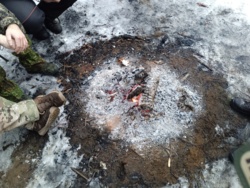 87ac4920-903f-4652-bb33-da9db561e9ea