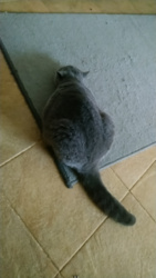 b815a5b1-6ccd-40b3-9823-b46f442d0c3e