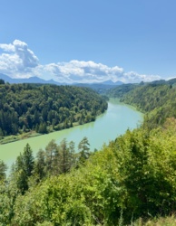 55df04be-4e94-46e7-92d2-f1d407316799