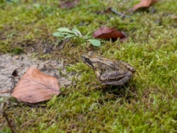 a5552405-92bd-42c5-a555-dac03e9edb56