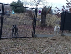 40e55881-6033-4e73-80c5-697a3314fcbe