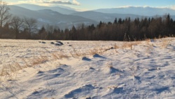 1e701010-99c6-439f-ad2e-d408c9e596ef