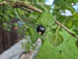 8c26768b-7848-4ee9-b36e-f8824ce5d373