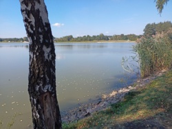 fe612e34-4d14-480a-b908-e07997fb03ba