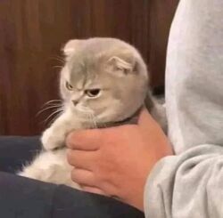 479f68b4-b26f-4111-a929-bbeb92c1b455