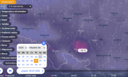 8cd5b175-b80b-47b3-af5c-fcd9aa813b55