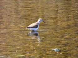 cff78182-41d9-4d2c-a109-db5a7e665e0f