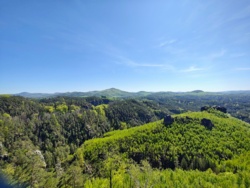 dc4b1077-6f2d-4aea-885c-f837ea92fd17