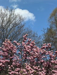 99bc4a6b-fb77-45e4-96a4-47bd44a5a2a4