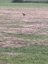 d68011f0-6e37-4d39-8e38-e4178b29a8d2