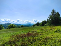 c1447bbe-d6d4-4ceb-95ed-1569efb0c82d