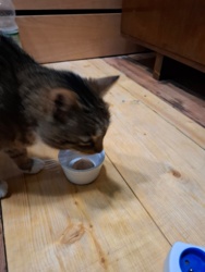 cbd1348c-93e6-461d-8c7f-ca9339b5baa7