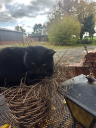 077c9c53-288a-436c-8825-e3c92208cb6c