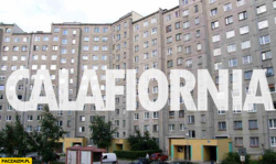 e6ca9bdb-ac94-446f-ba19-2801a772939f