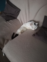 4e026ddc-7b3f-4c46-a387-d8f3df13fa4d