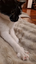 5b9c4fec-9294-4da4-b0f2-a699c757e9e7