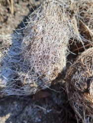 e082c9fb-ba42-429d-bbd7-8d4148acdf5d