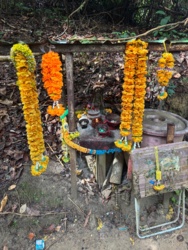 9b971681-a796-4f83-bc74-56b7714bcac0