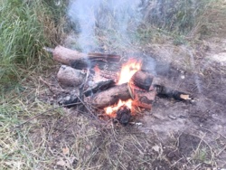 e876509f-e72a-4574-b2f1-99d9a58749e6