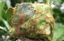 aa930935-2a8b-43ae-a11f-e823221901b9