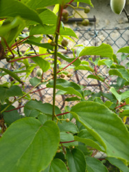 b52390b0-3f11-42a6-a16a-b9f757b9d160