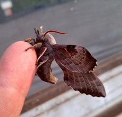 43b65d10-1d58-4286-ad80-708d94d80c67