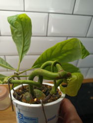 6d1b7f91-ee93-406d-8262-c445c331dba5