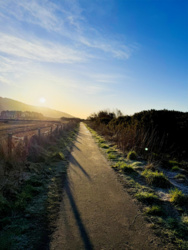 ece383e1-f291-45bc-8e26-b8e60b7434e2