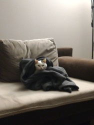 e5012351-e31f-49f5-949e-f7d5abeda122