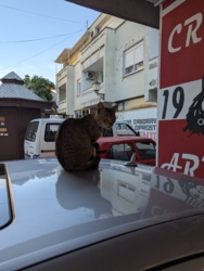 7028080b-af18-4f10-9c1f-6084cad3eb54