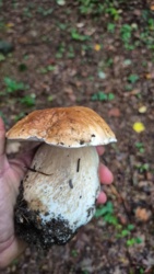 207a0964-a3dc-4e38-969d-1480f11b5dfb