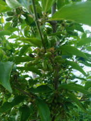 b17d0200-0e26-4b31-a6f8-5d8f10f8947a