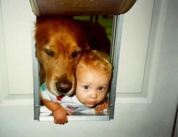 e194227e-259d-4736-83ac-823583afe07d