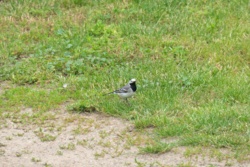 22cbb71b-cc6c-4fc6-b1c9-aba0d3f1002b