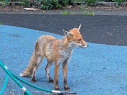 8ba45d13-6910-4a4f-8302-db11c93a8073