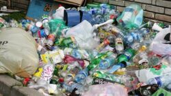 "Opłaty za odpady powinny być pobierane w sklepach". Segregacja? "Trzeciorzędny temat"