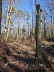 7cb4acf8-ad1e-4ec2-931f-342dfb38901f