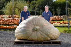 bf233dff-4cad-4a01-9cac-6eed973f4bb7