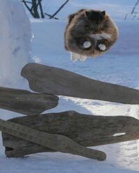 c17571d1-11ce-479d-aad5-c813258b63ef