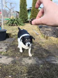 498c7aff-cb4f-42d8-b05d-3ee8226da3bb