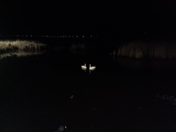 d49910a8-0d63-4587-84fa-d38591918f84