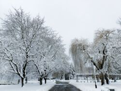 c55e64a1-cfb0-4805-b07b-bd9671b65424