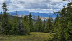 b00ff78e-fc8e-46fa-8650-8feff1dea6e1