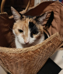 30352007-46a9-421f-bf7c-6afb23742aa5