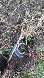 a267662d-9d08-41d2-a711-05feb9d6016f