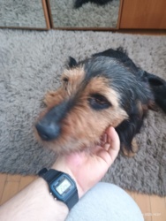 83858d85-7d83-4764-97e0-660dd253f7aa