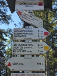 53e7edef-b593-4b54-a1f7-c734e1154b87