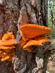 8bc6448e-8885-40e1-9ad3-fb2f51fcfa7b