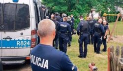 Przestępczość odbija po pandemii